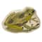 Hello Honey® Green 11.75" Garden Frog Stoneware Plate